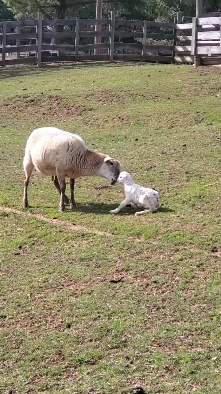 @farmerboi