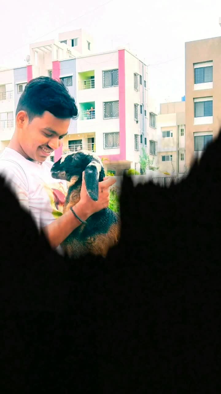 @suraj talekar