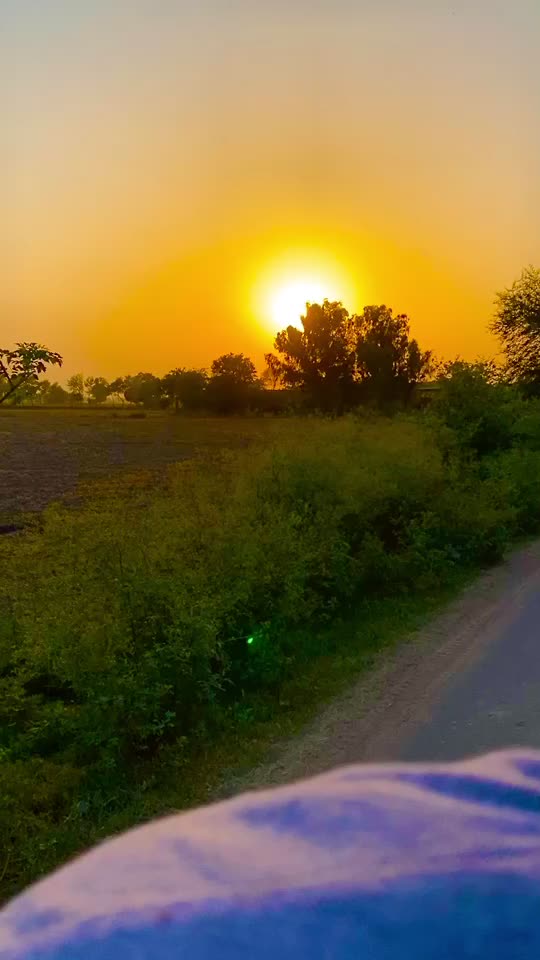 @Ranna Saab