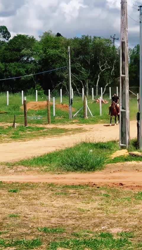 @Luan De Oliveira