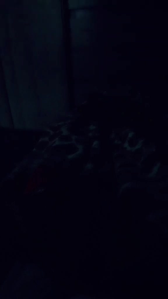 @Célia Francisca483