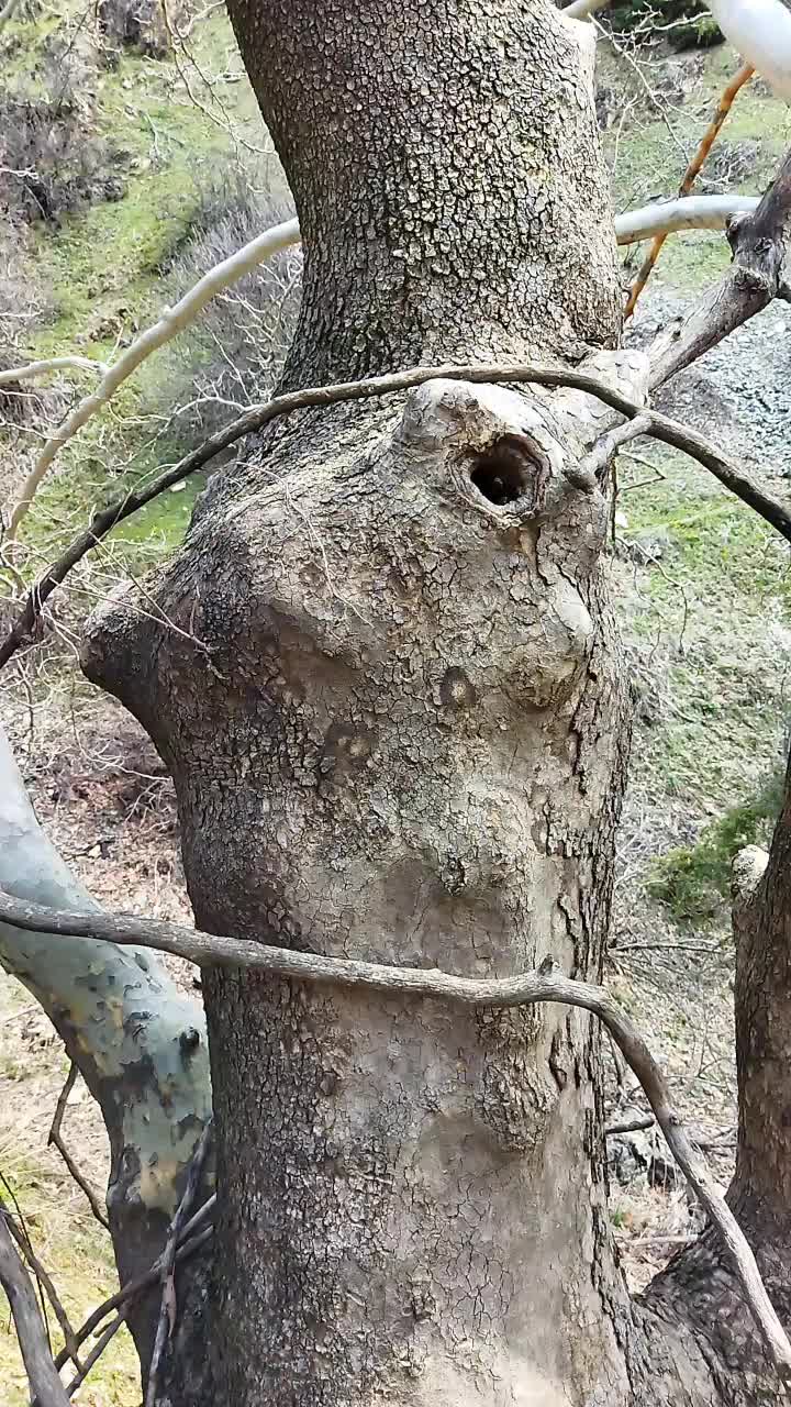 @İsmail Genç