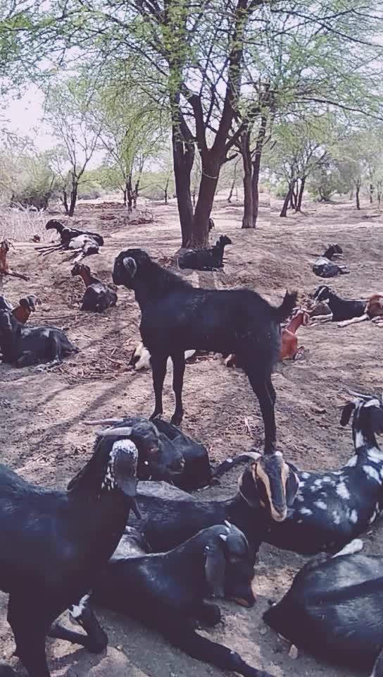 @katkam_naveen🇮🇳