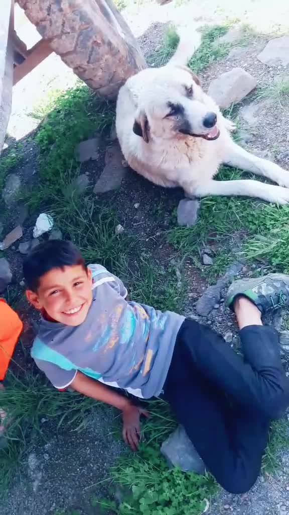 @Bilgebitirim