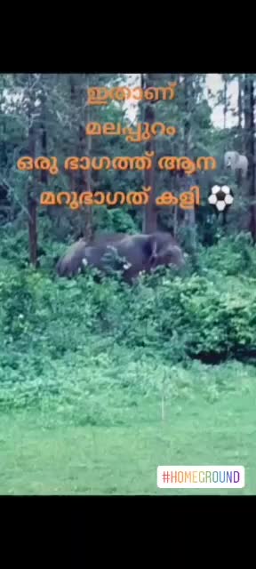 @@