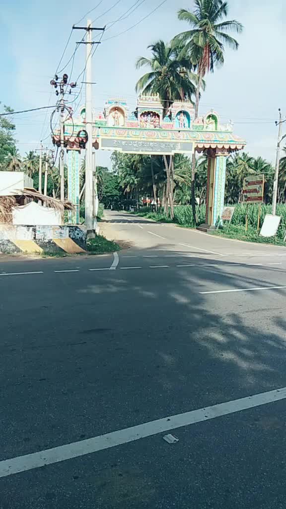 @kiccha 🐆🐆🐆