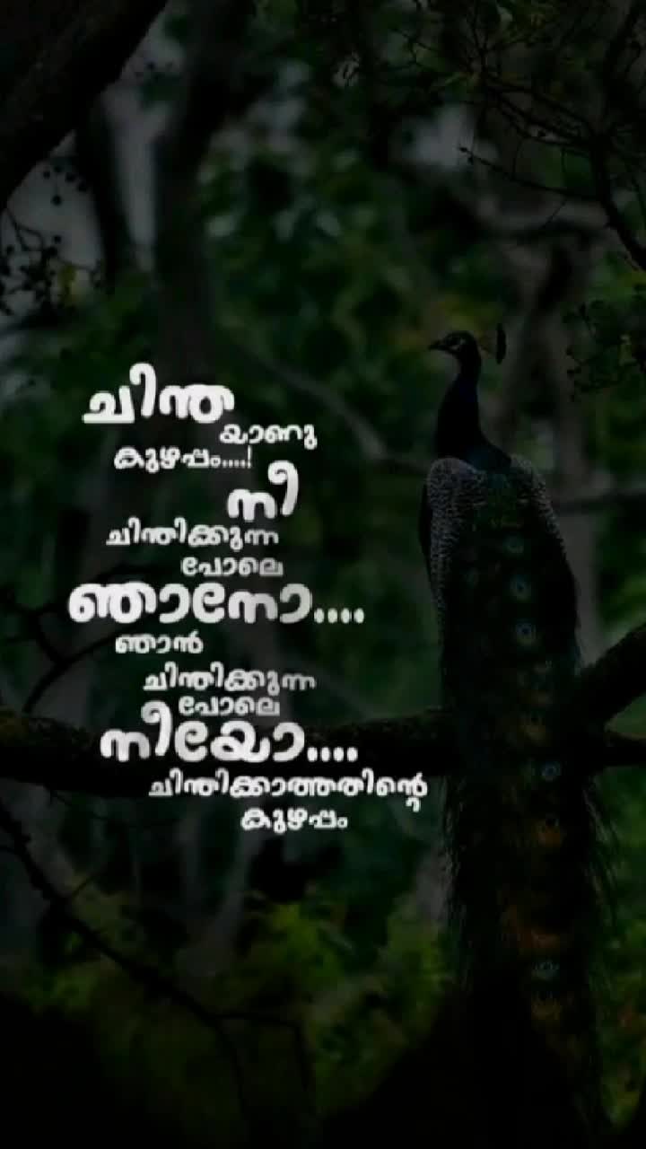 @👉❣️സഖാവ്❣️👈