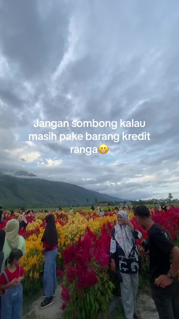 @butterscout⚘️