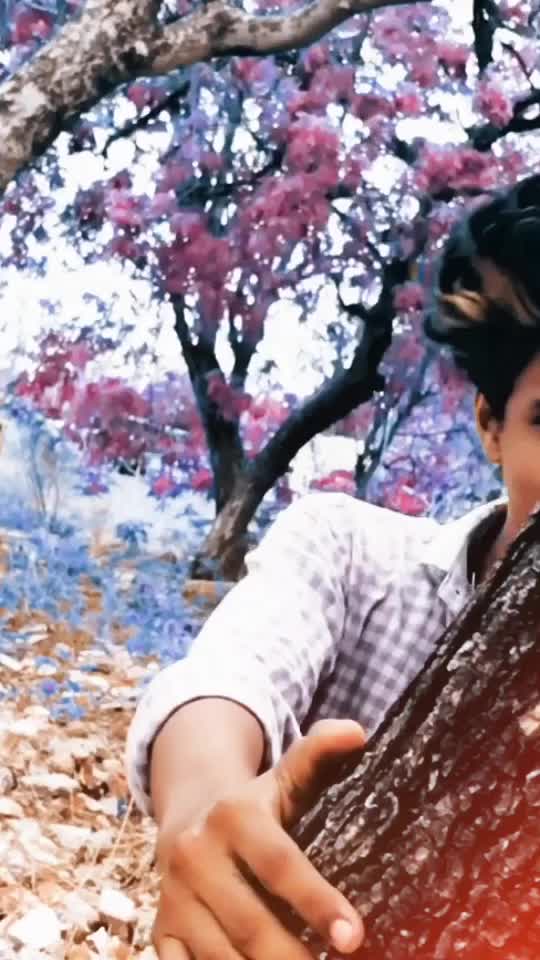@👑_rasagulla_boi_👑