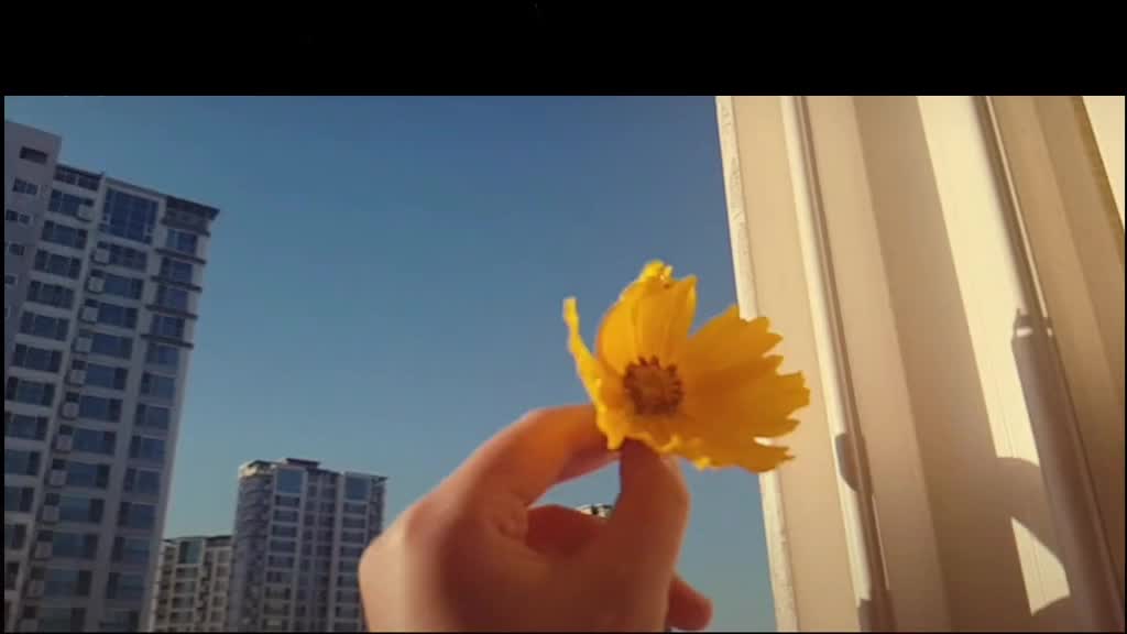 @태은이는 윤언니만🌟