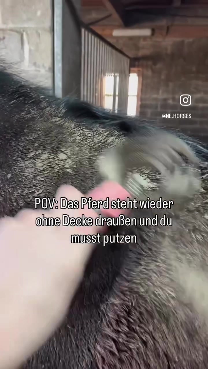 @ne.horses