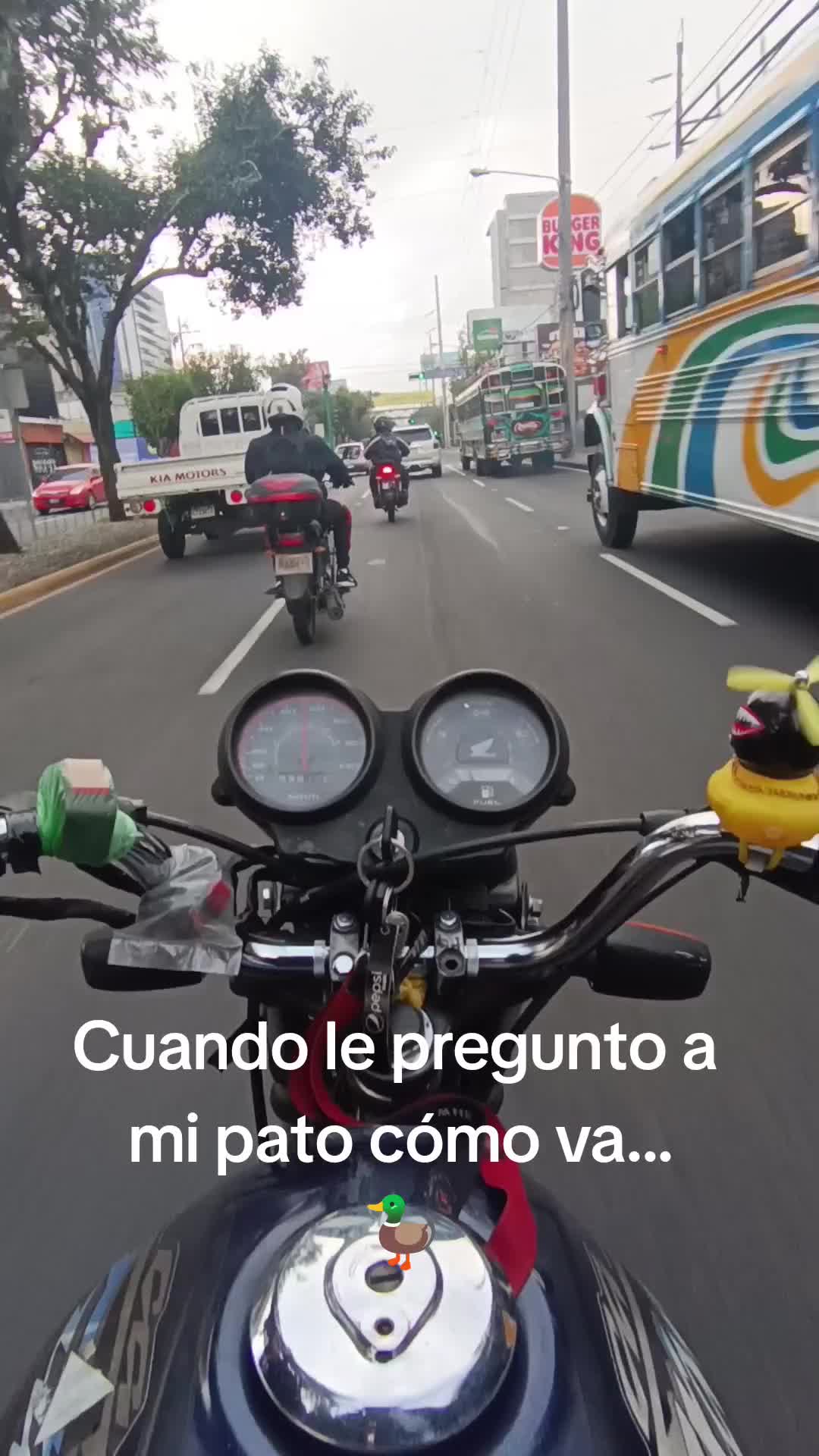 @Diño_Biker