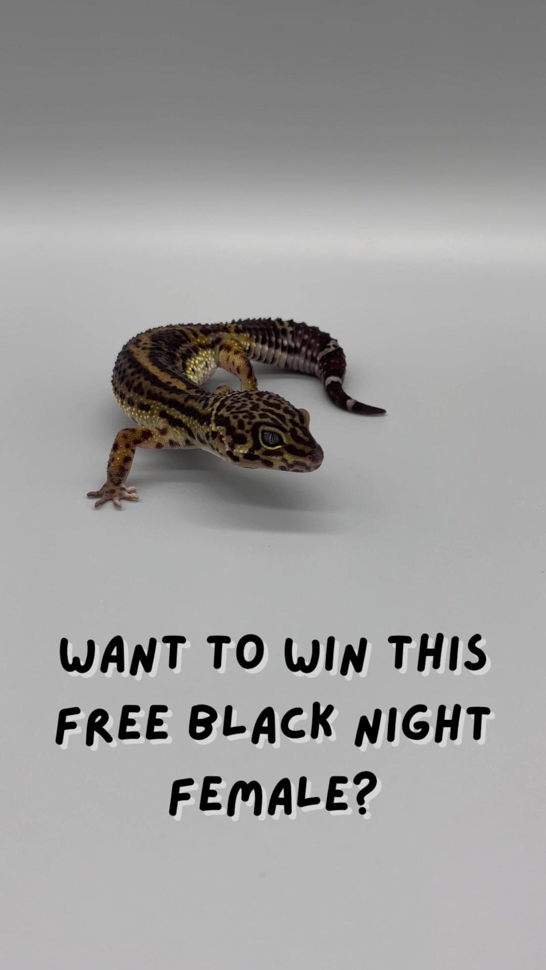 @Big G