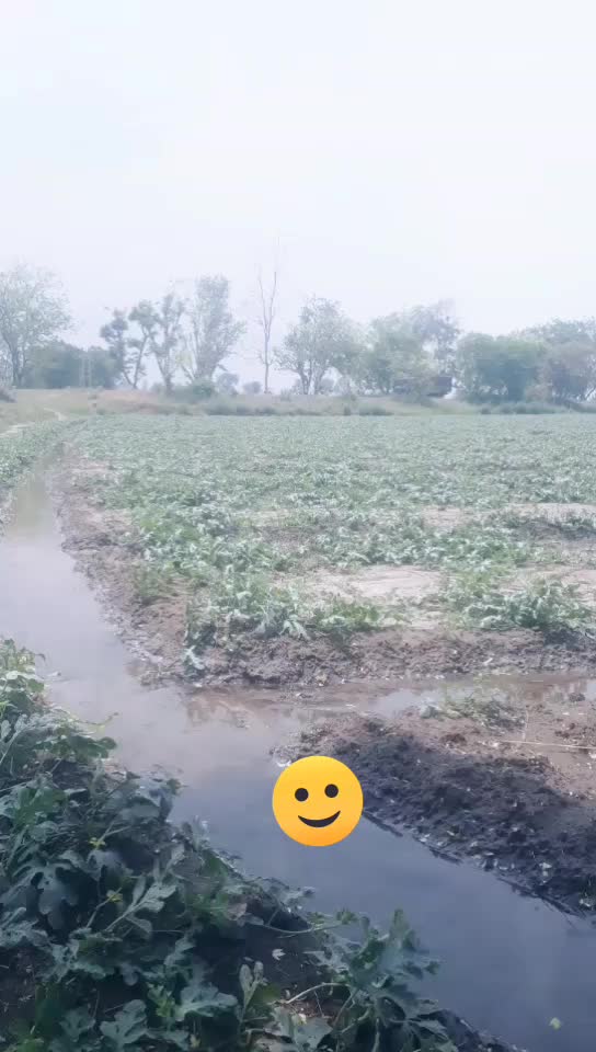 @solanki saab