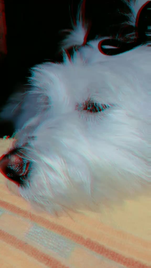 @.ï.∆.Ñ.∆.D.∆.Ï.∆.Å.