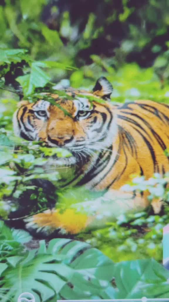 @Jaydeep kumar09