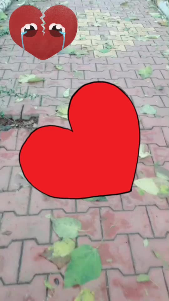 @bayramerve