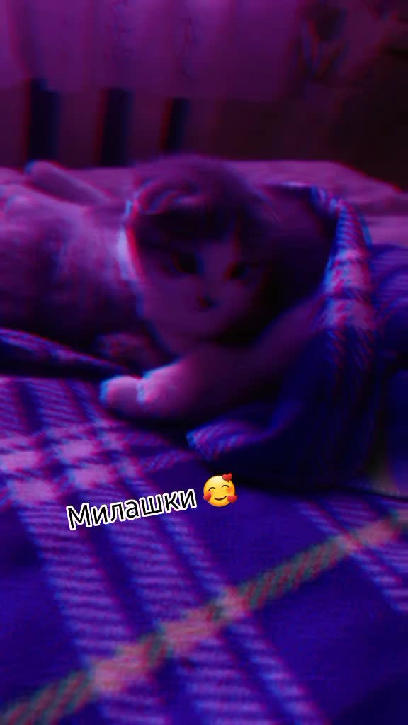 @❤АНЯ КОТИК❤