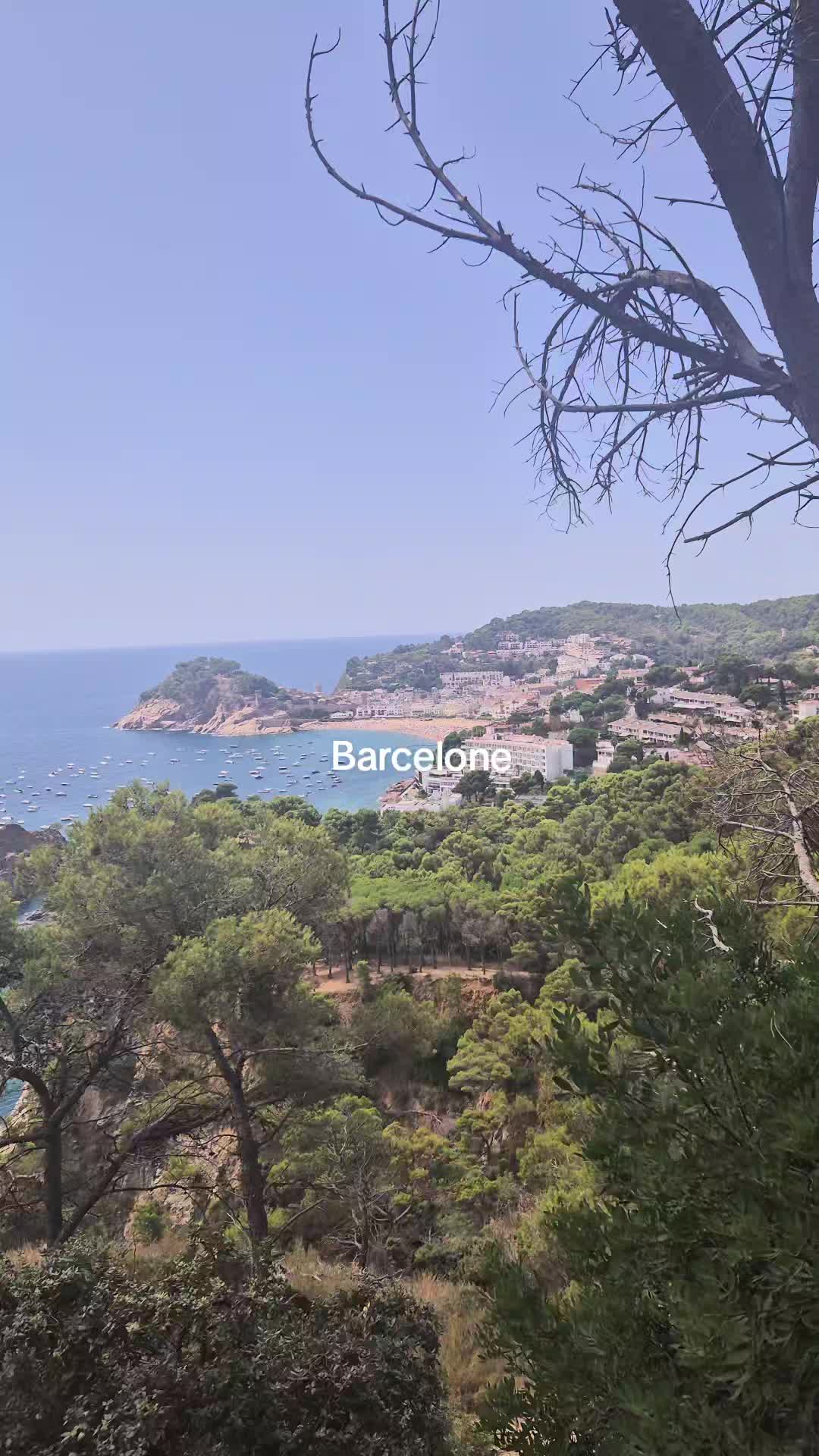 @Dayna