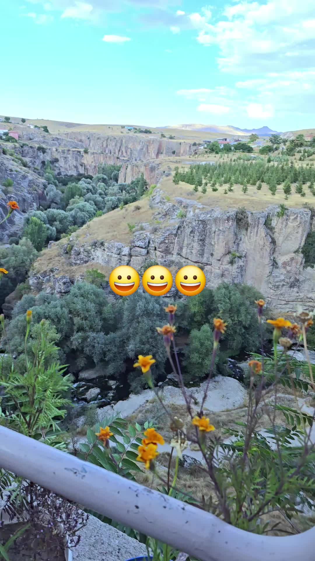 @güvercin🕊