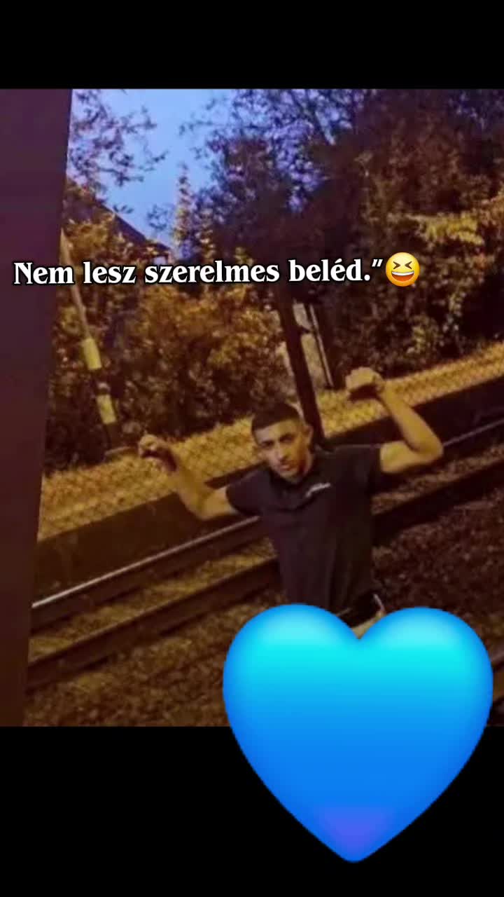 @zoltn.galamb