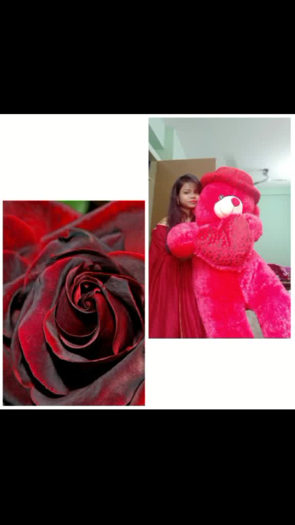 @user94693861526