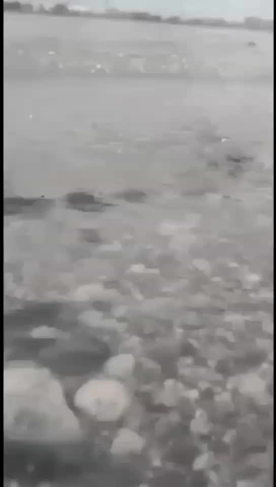 @I.XIV.IX.XII