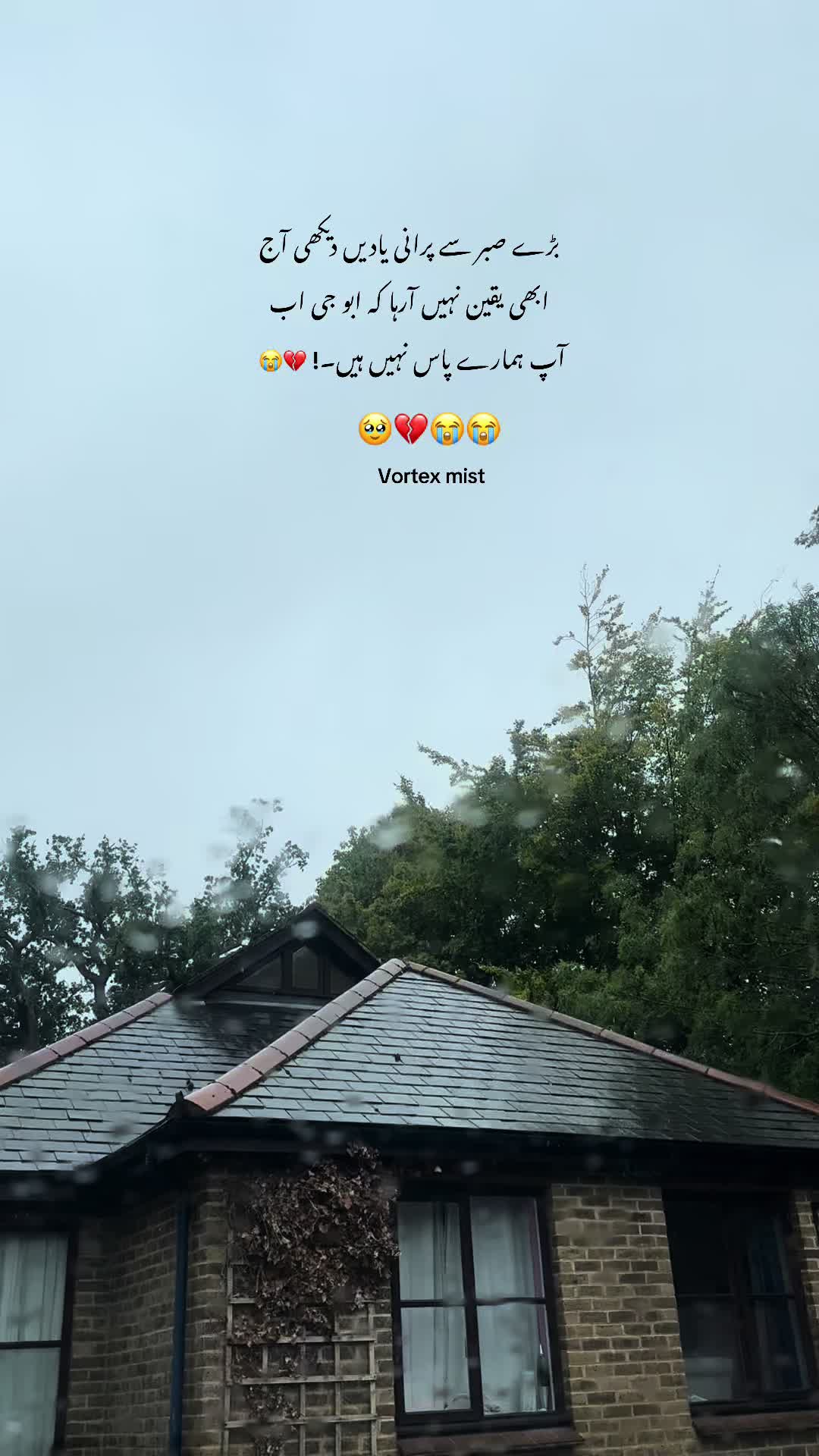 @Vortex mist🇬🇧