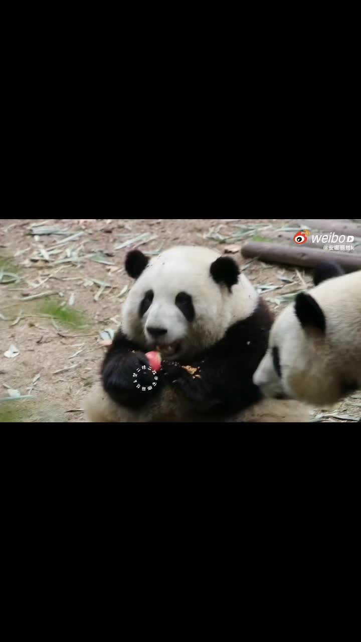 @Ởđ&acirc;yc&oacute;sựđ&aacute;ngiucủa HoaHoa 🌸