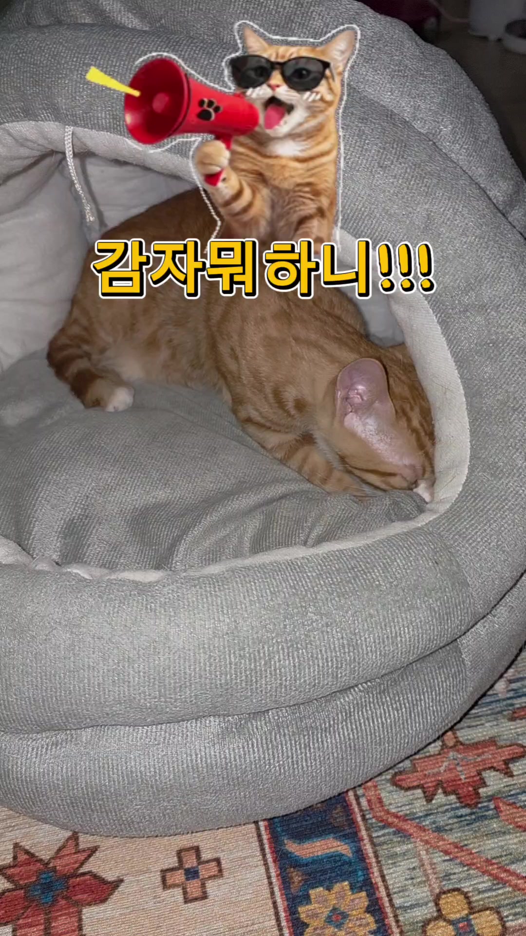 @감자아빠😍😍😍