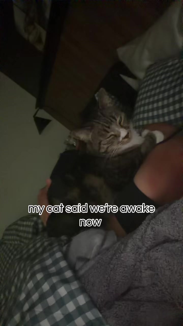 @Bmichaud