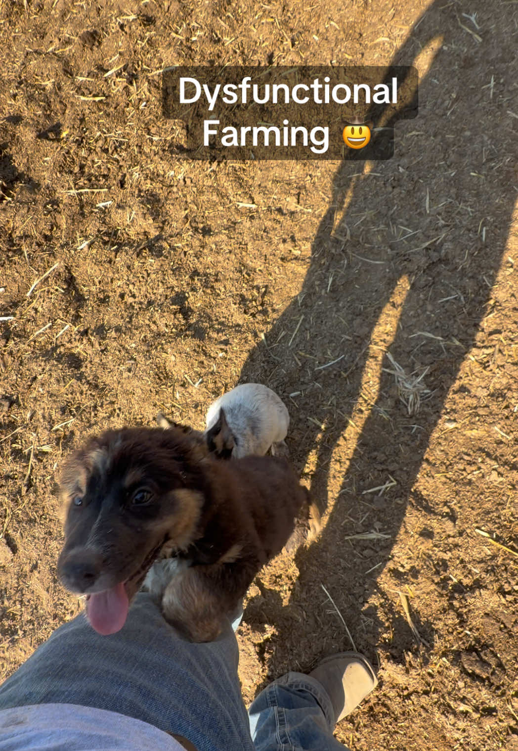 @Skylar Farming