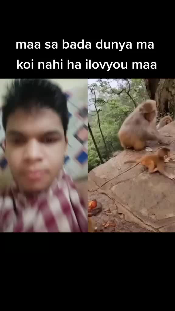 @rrrrt