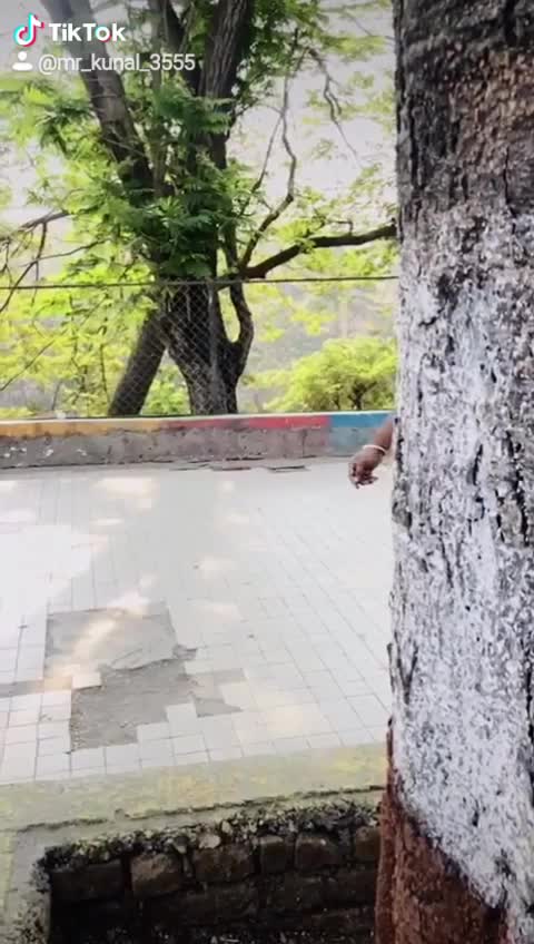 @🔥_आगरी_किंग_🔥