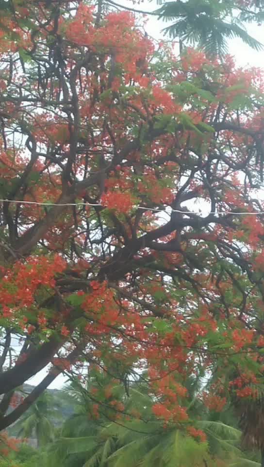 @Tik Tokerச.சசிகுமார்
