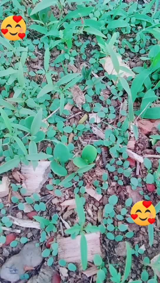 @@sagarbhagat