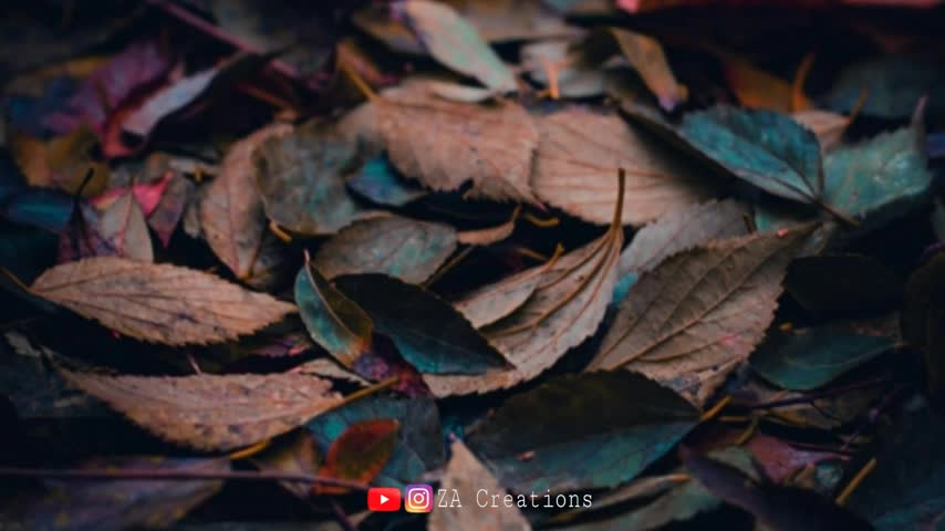 @കലിപ്പന്റെ കാന്താരി