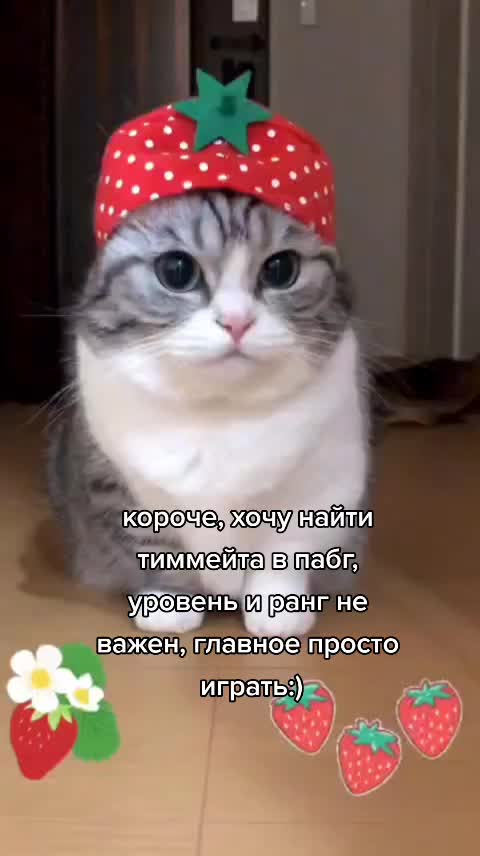 @гифки с комару