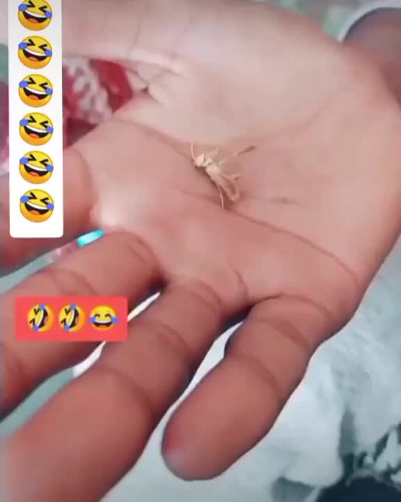@Dheeru__GurJar