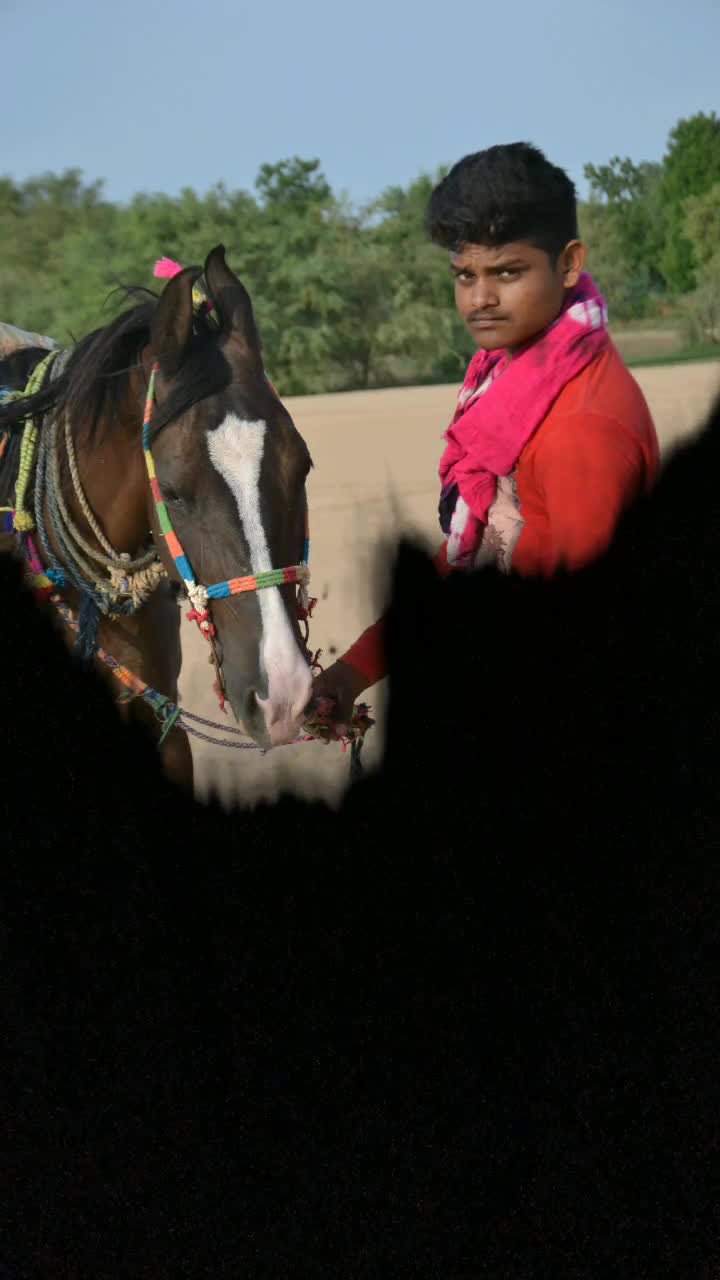 @Vaghela Bapu Sanjay