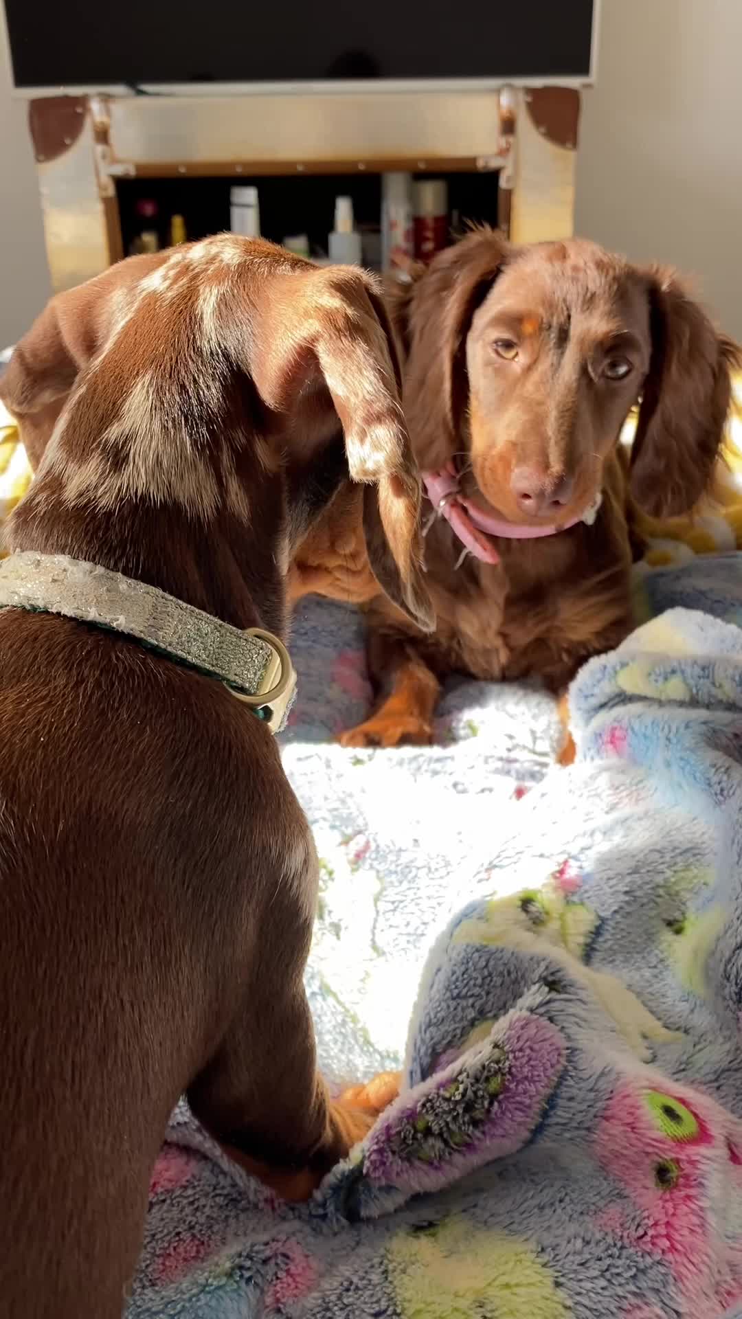 @billieandblu