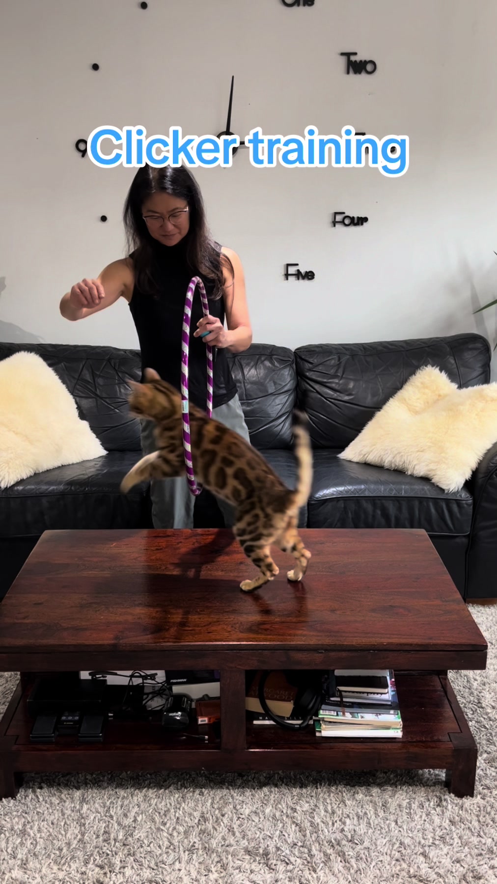 @George_The_Bengal_Cat