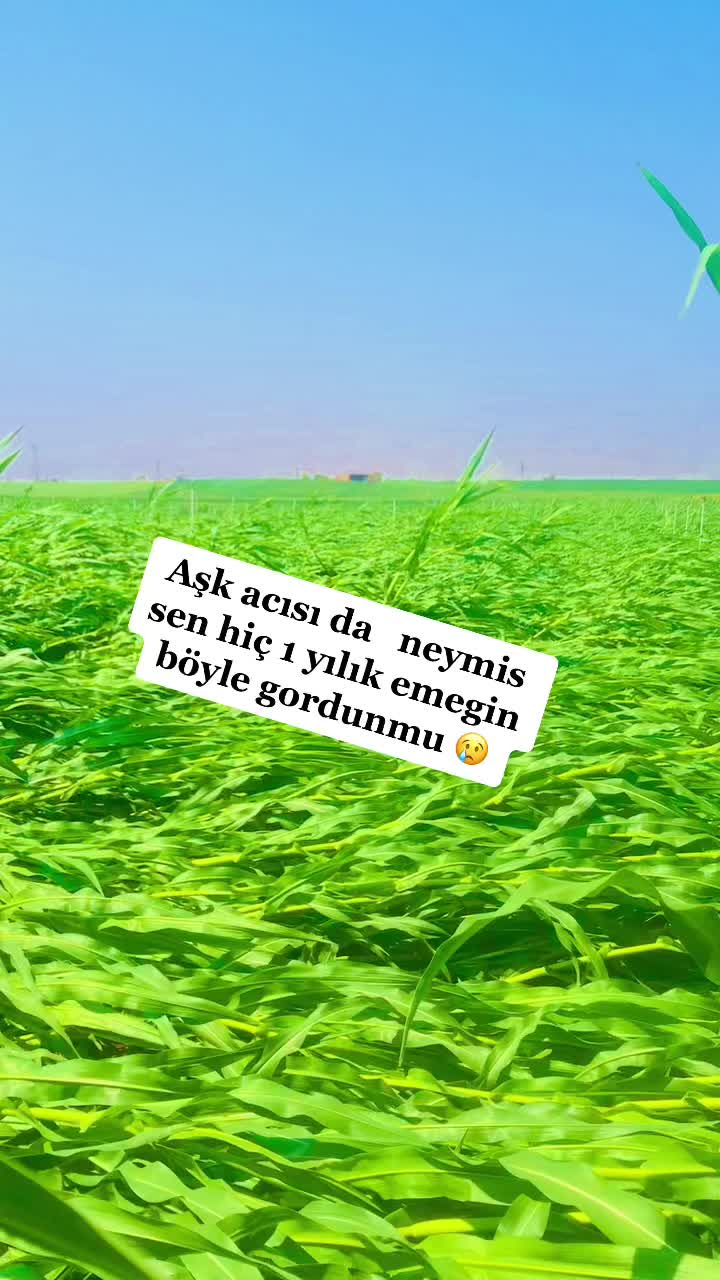 @idan baraç