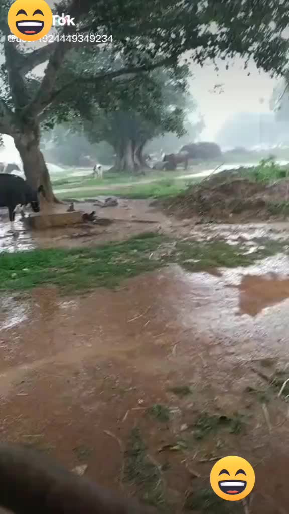 @user4531610591032
