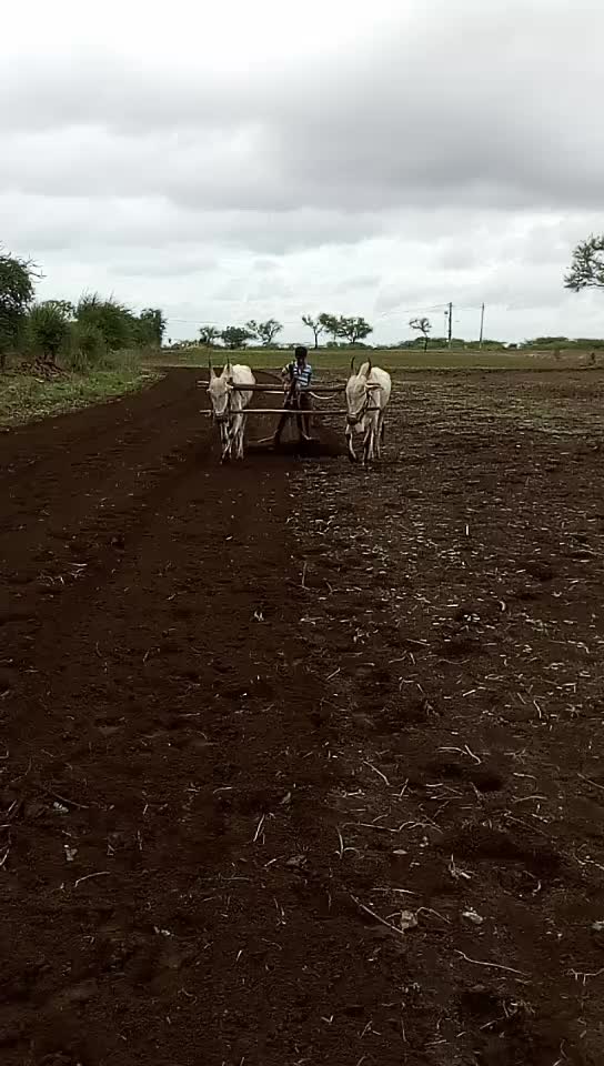 @ಕಿರಾತಕ