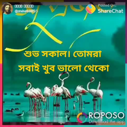 @subhambag