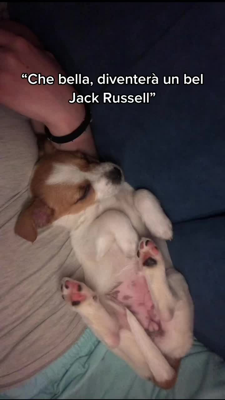 @Julia Carboni