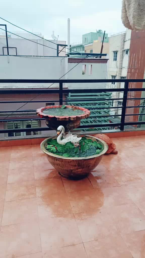 @Roopa Shree Ganesh