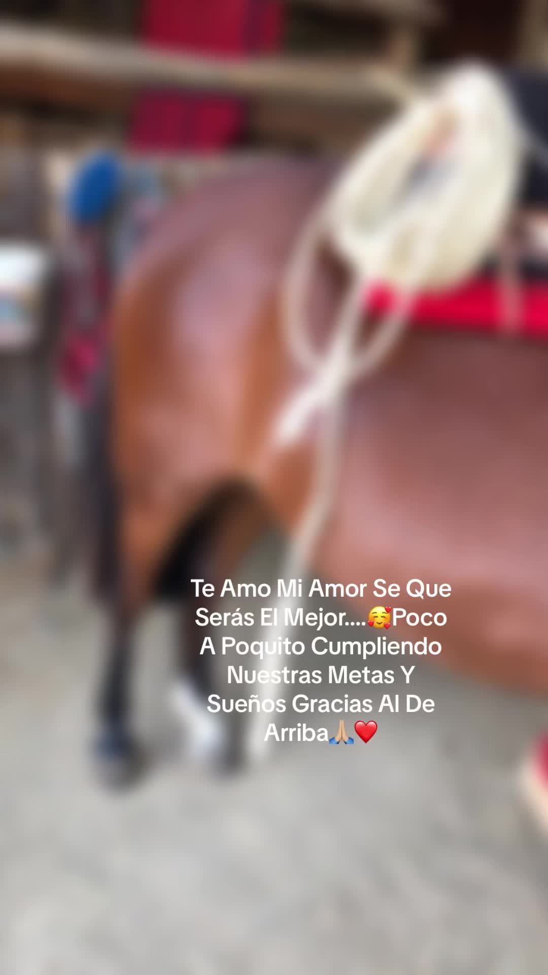 @Iamdafne
