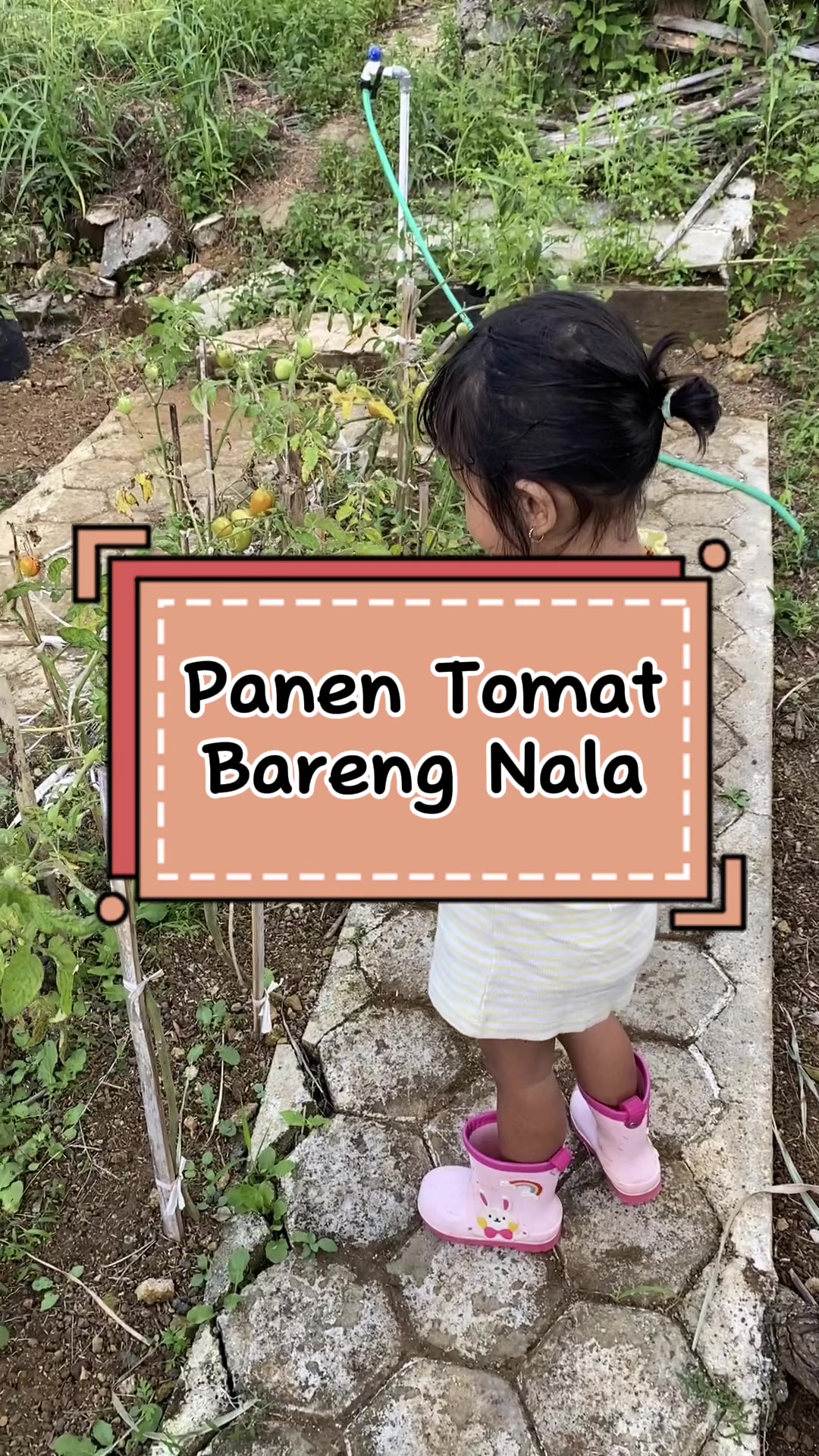 @Felisitas devinta tania